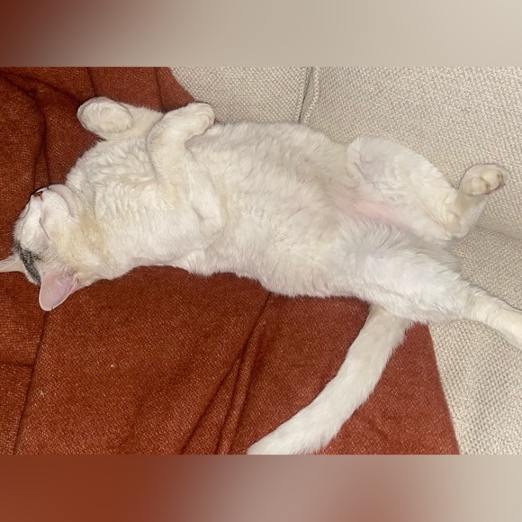 USA!! UNITS SM Hawaiian Tropical Theme Soft  Sleeveless Orange Red Dress WOW! - Picture 11 of 11